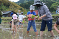11タイトルなし