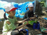 2タイトルなし