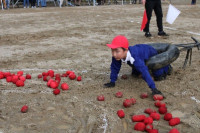 41タイトルなし