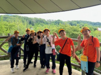 image12