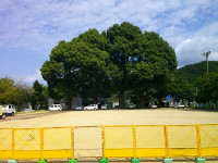 DSCF0002