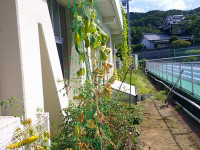 DSCF0005