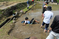 IMG_4274