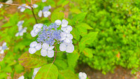 IMG_3961