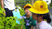 DSCF0052