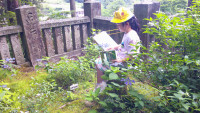 DSCF0060