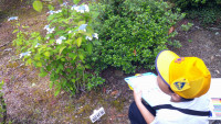 DSCF0061