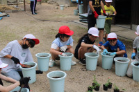 IMG_6338
